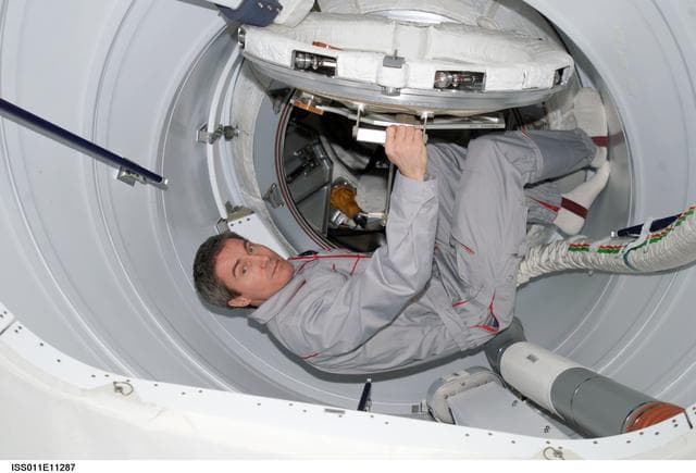 NASA image: Krikalev in PMA 2