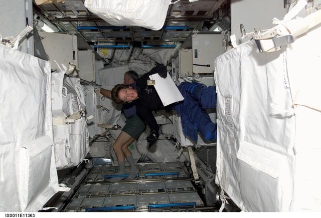 NASA image: Lawrence in MPLM  during transfer operations.