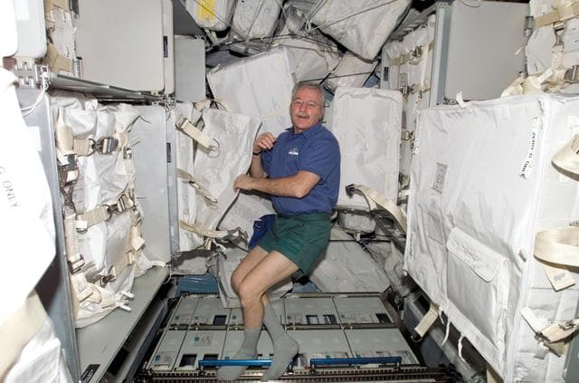 NASA image: Phillips in MPLM  during transfer operations.