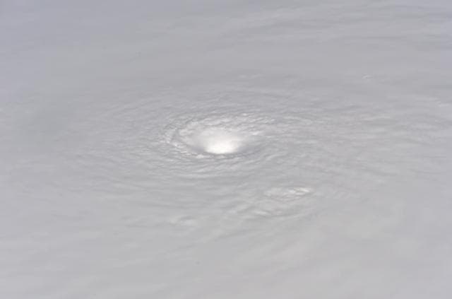 NASA image: Crew Earth Observations of Hurricane Wilma taken during Expedition 12