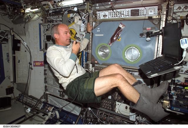 NASA image: Williams at the MSG rack conducting conference in the U.S. Laboratory during Expedition 13