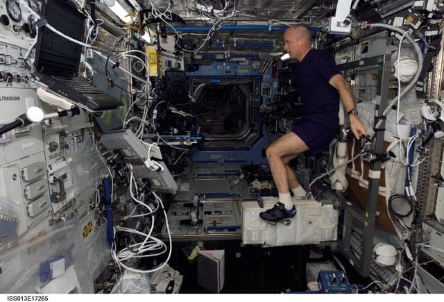 NASA image: Williams exercises on the CEVIS in the U.S. Laboratory during Expedition 13