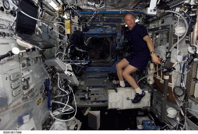 NASA image: Williams exercises on the CEVIS in the U.S. Laboratory during Expedition 13