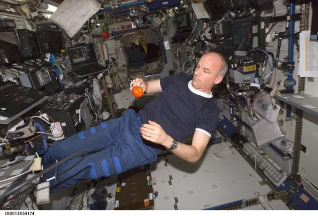 NASA image: Williams in Destiny Laboratory during Expedition 13