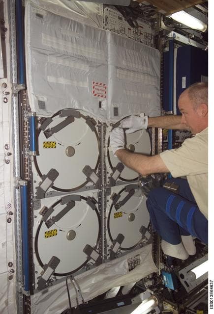 NASA image: Williams working in the U.S. Laboratory during Expedition 13