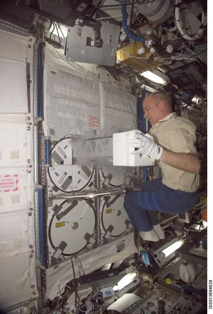 NASA image: Williams working in the U.S. Laboratory during Expedition 13