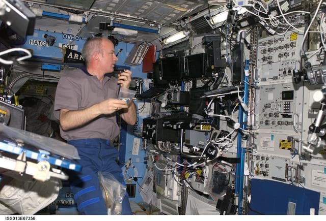 NASA image: Williams working in the U.S. Laboratory during Expedition 13