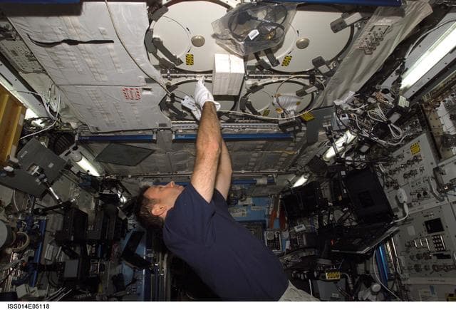 NASA image: Lopez-Alegria with Passive Observatories for Experimental Microbial Systems (POEMS) foam cushion
