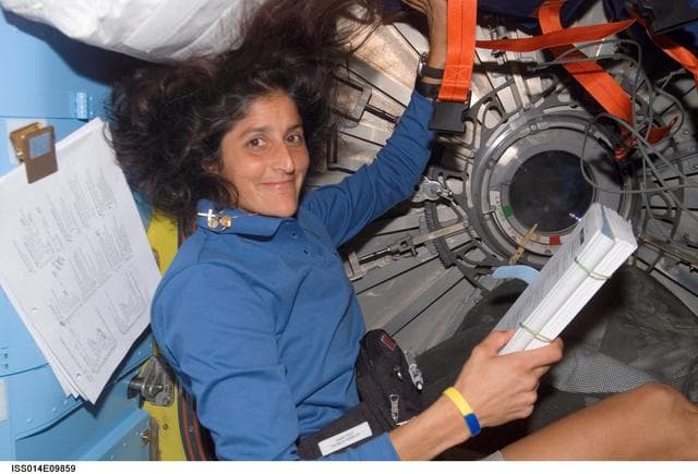 NASA image: Williams in Quest airlock