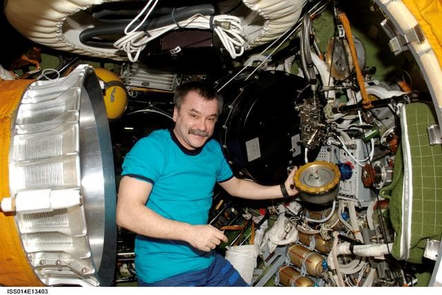NASA image: iss014e13403