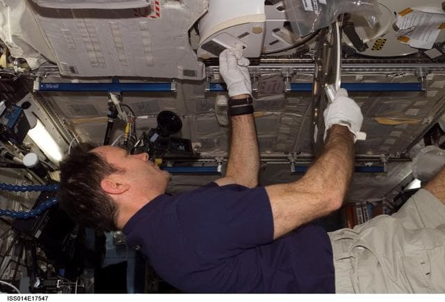 NASA image: Nutrition: blood sample collection