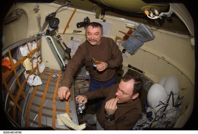 NASA image: Tyurin and Lopez-Alegria in Soyuz 13 spacecraft