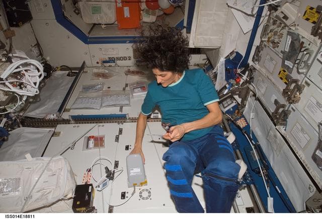 NASA image: Williams works with LOCAD-PTS in Destiny lab