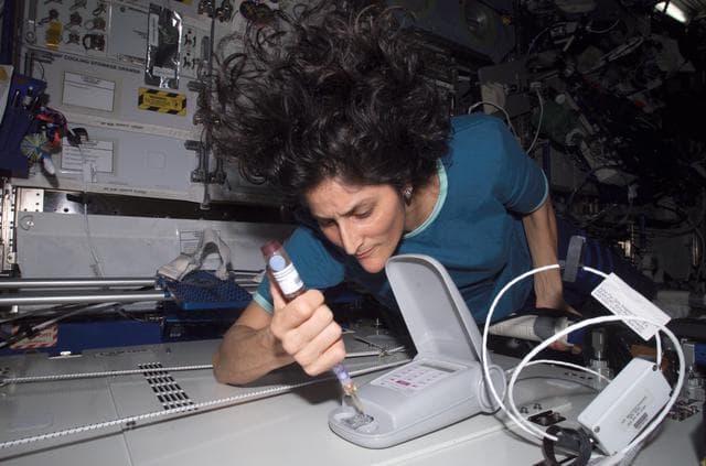 NASA image: Williams works with LOCAD-PTS in Destiny lab