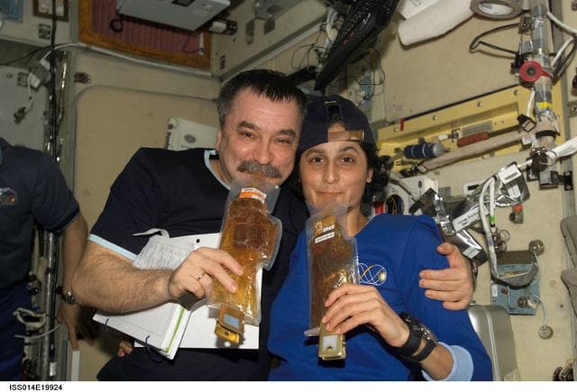 NASA image: Tyurin and Williams in Zvezda Service module
