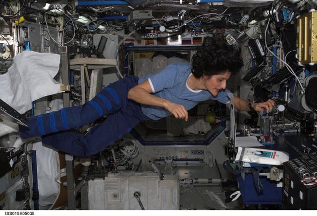 NASA image: Williams during Capillary Flow Experiment Hardware Setup in the US Lab