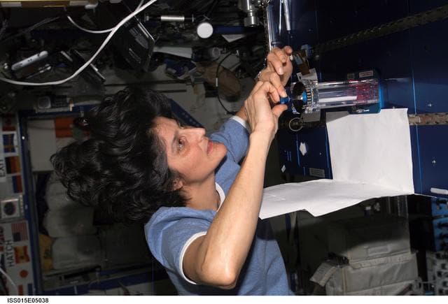 NASA image: Williams during Capillary Flow Experiment Hardware Setup in the US Lab