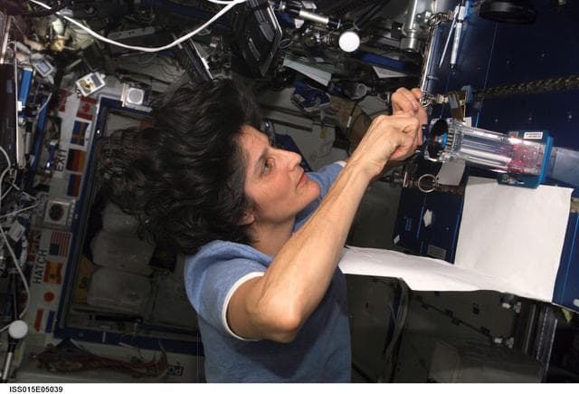 NASA image: Williams during Capillary Flow Experiment Hardware Setup in the US Lab