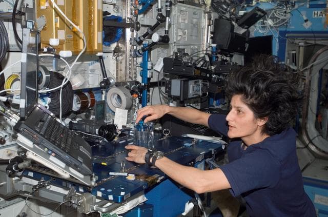 NASA image: Williams during Capillary Flow Experiment Hardware Setup in the US Lab