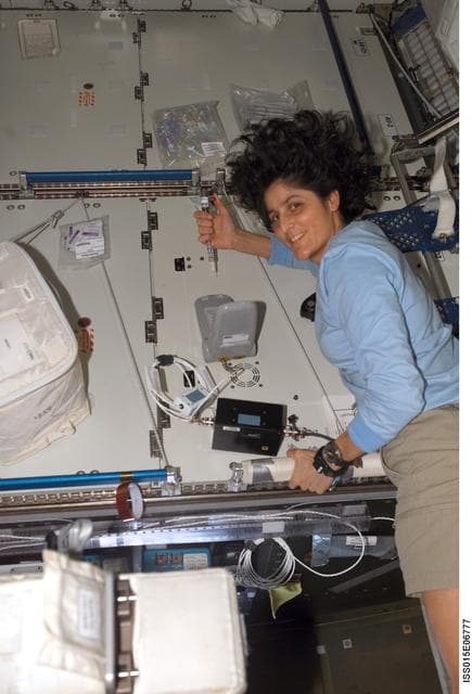 NASA image: Williams works on the LOCAD-PTS Experiment in the US Lab during Expedition 15