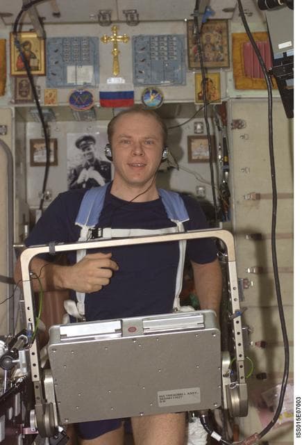 NASA image: Kotov Exercising on the TVIS during Expedition 15