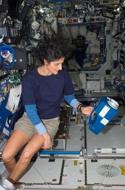 NASA image: Williams during SWAB experiment in the US Lab during Expedition 15