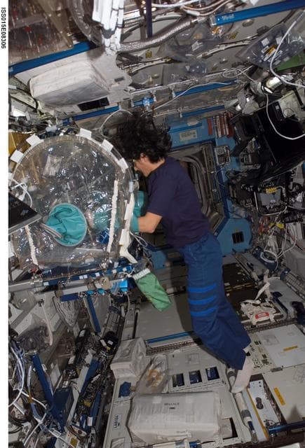 NASA image: Williams working at a MWA during Expedition 15