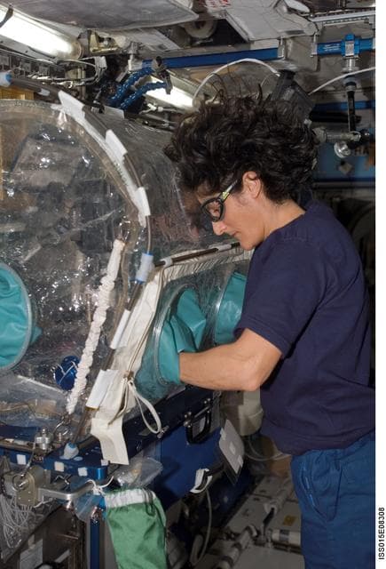 NASA image: Williams working at a MWA during Expedition 15