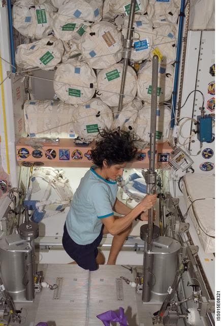 NASA image: Williams prepares to exercise on the SchRED during Expedition 15