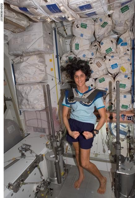 NASA image: Williams exercising on the SchRED during Expedition 15