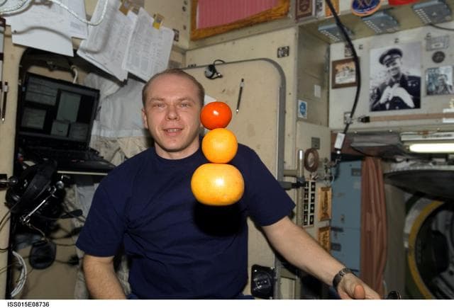 NASA image: Kotov in the SM during Expedition 15
