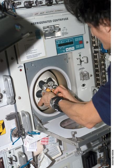 NASA image: Williams loads the HRF2 Refrigerated Centrifuge for the Nutrition Experiment during Expedition 15