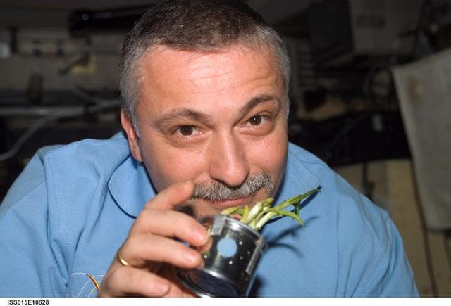 NASA image: Yurchikhin poses for a photo in the SM during Expedition 15