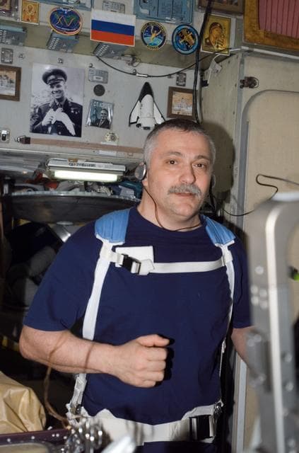 NASA image: View of Yurchinkhin exercising on the TVIS during Expedition 15