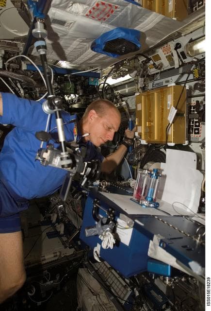 NASA image: View of Anderson working on the CFE Experiment in the US Lab during Expedition 15