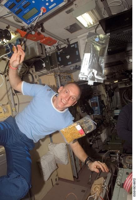 NASA image: View of Anderson posing for a photo in the SM during Expedition 15
