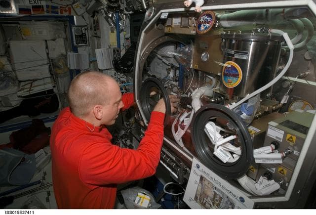 NASA image: View of Anderson working with SAME Hardware in the US Lab during Expedition 15