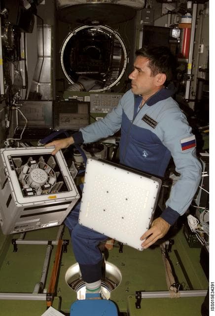 NASA image: Expedition 16 FE Malenchenko works on the P-KINASE Experiment in the SM