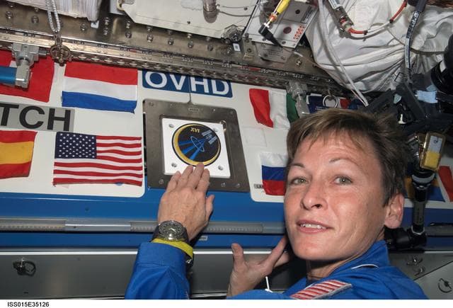 NASA image: Expedition 16 CDR Whitson poses next to her mission patch mounted above US Lab Hatch