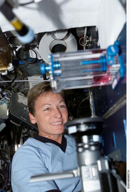 NASA image: Whitson working with CFE in the U.S. Lab during Expedition 16