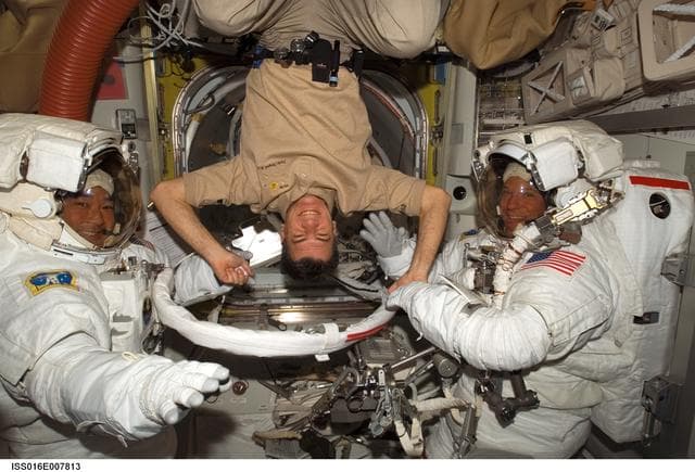 NASA image: Parazynski, Nespoli and Tani in the A/L prior to EVA 2