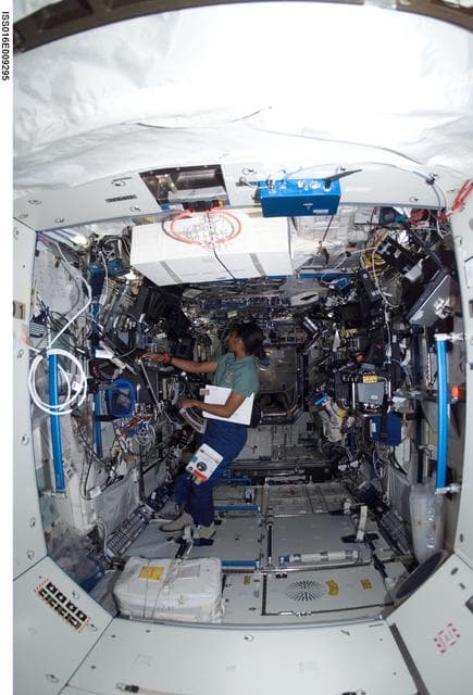 NASA image: Wilson in the US Lab during Expedition 16 / STS-120 joint operations