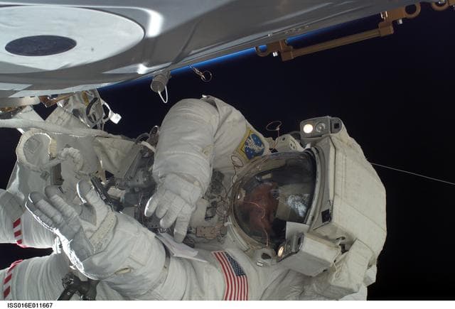 NASA image: Tani during EVA 11/Bravo
