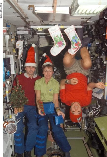 NASA image: Expedition 16 Crew pose for a Christmas photo in the SM