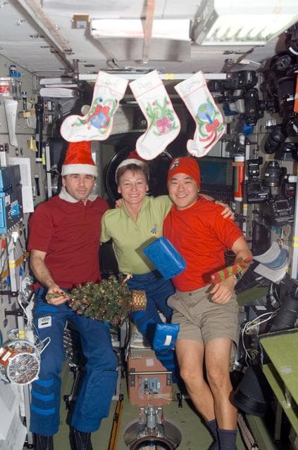 NASA image: Expedition 16 Crew pose for a Christmas photo in the SM