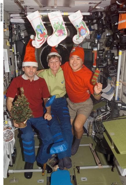 NASA image: Expedition 16 Crew pose for a Christmas photo in the SM