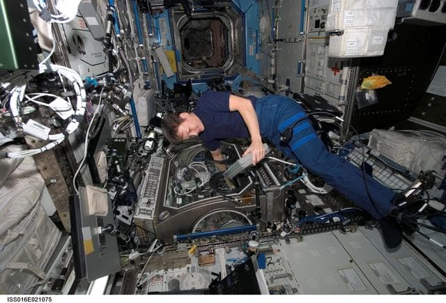NASA image: Whitson works with InSPACE-2 in the MSG in the US Lab