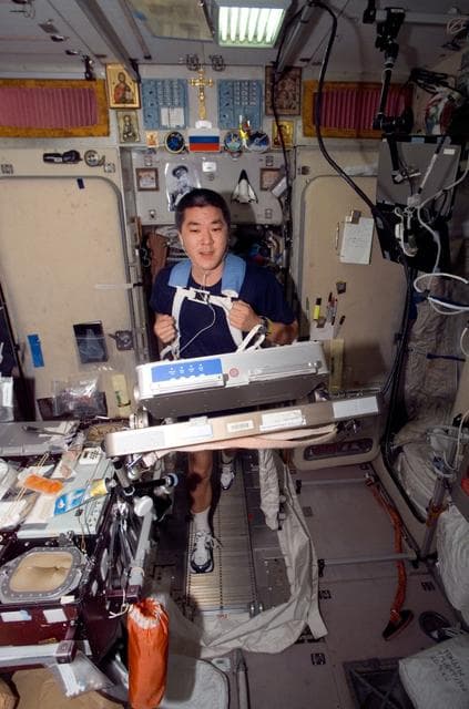 NASA image: Tani Exercising on the TVIS during Expedition 16