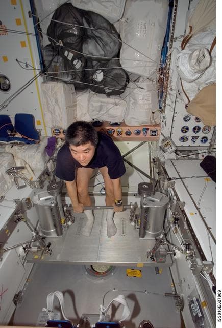 NASA image: Tani Exercises on the RED in Node 1