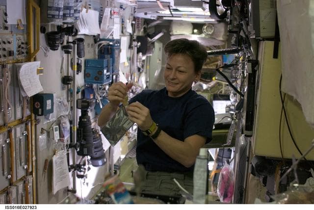 NASA image: Whitson in SM